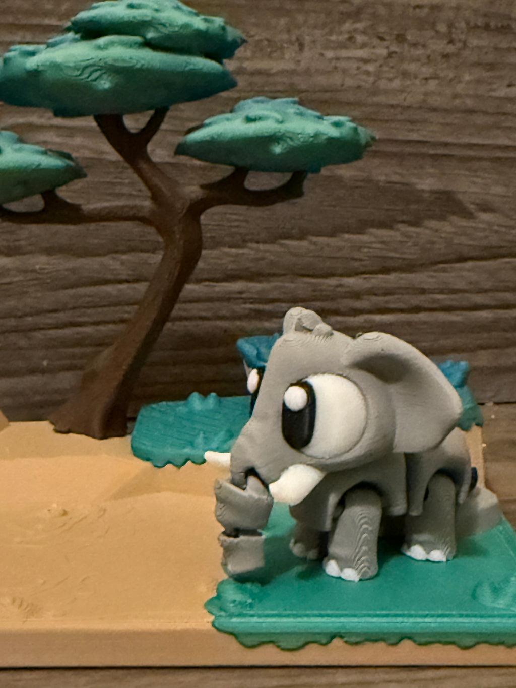 Lion / Safari Display