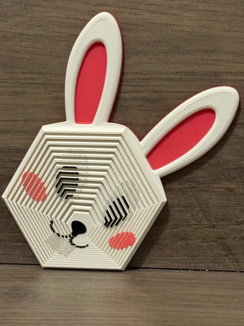 Bunny Fidget Toy