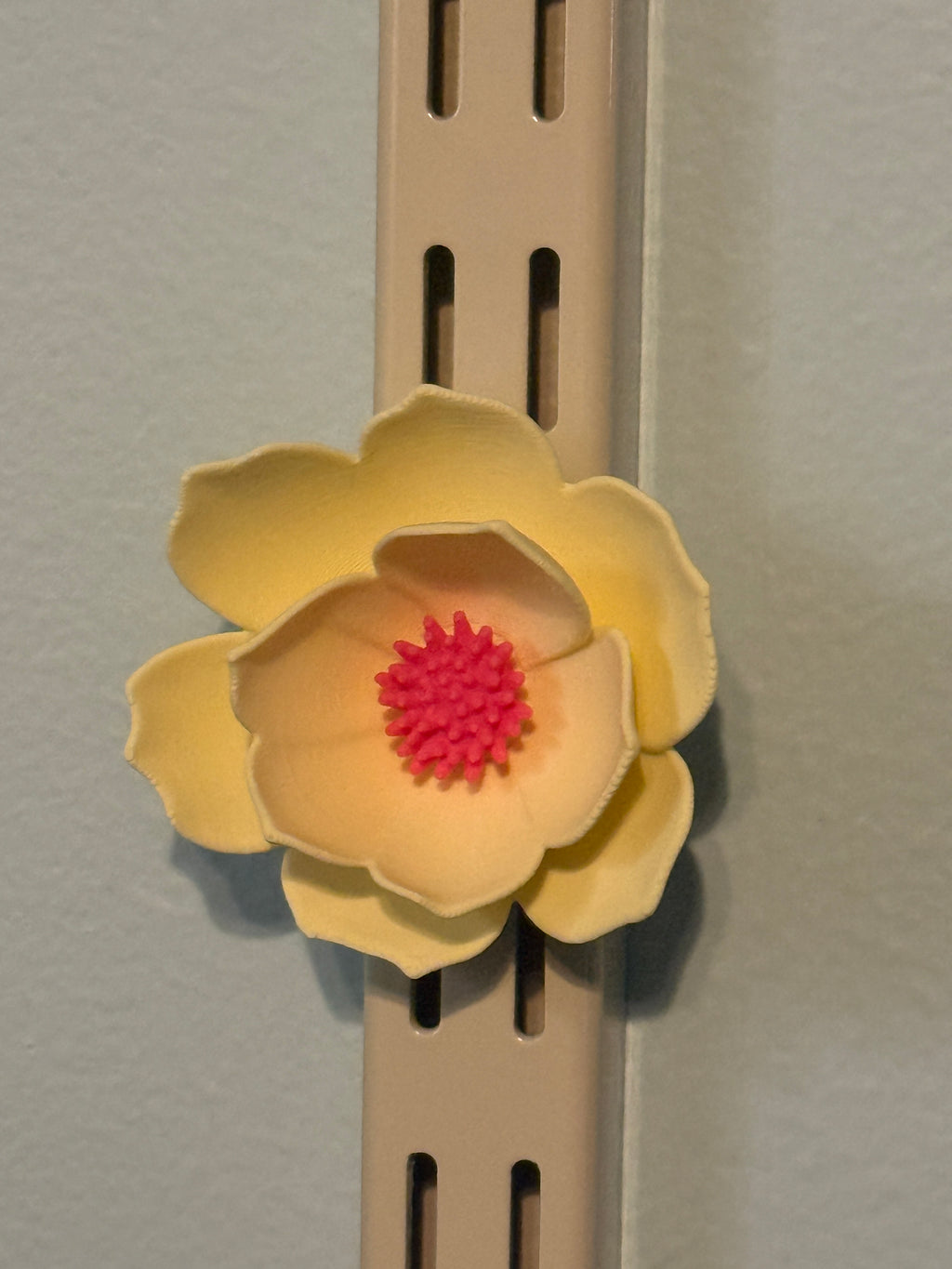 Flower Fridge Magnets (set of 6)