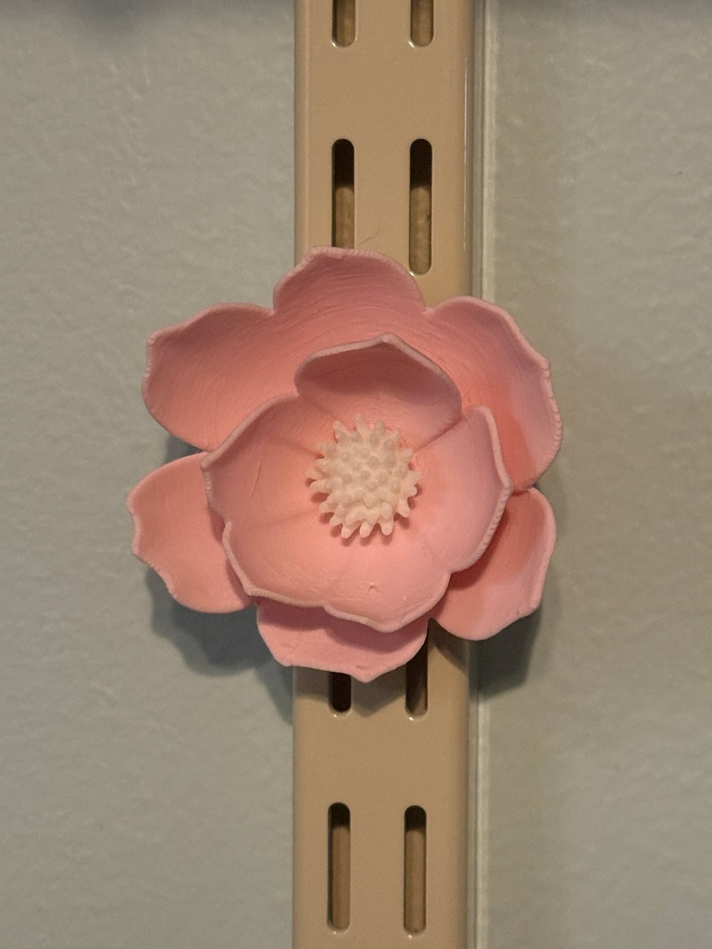 Flower Fridge Magnets (set of 6)