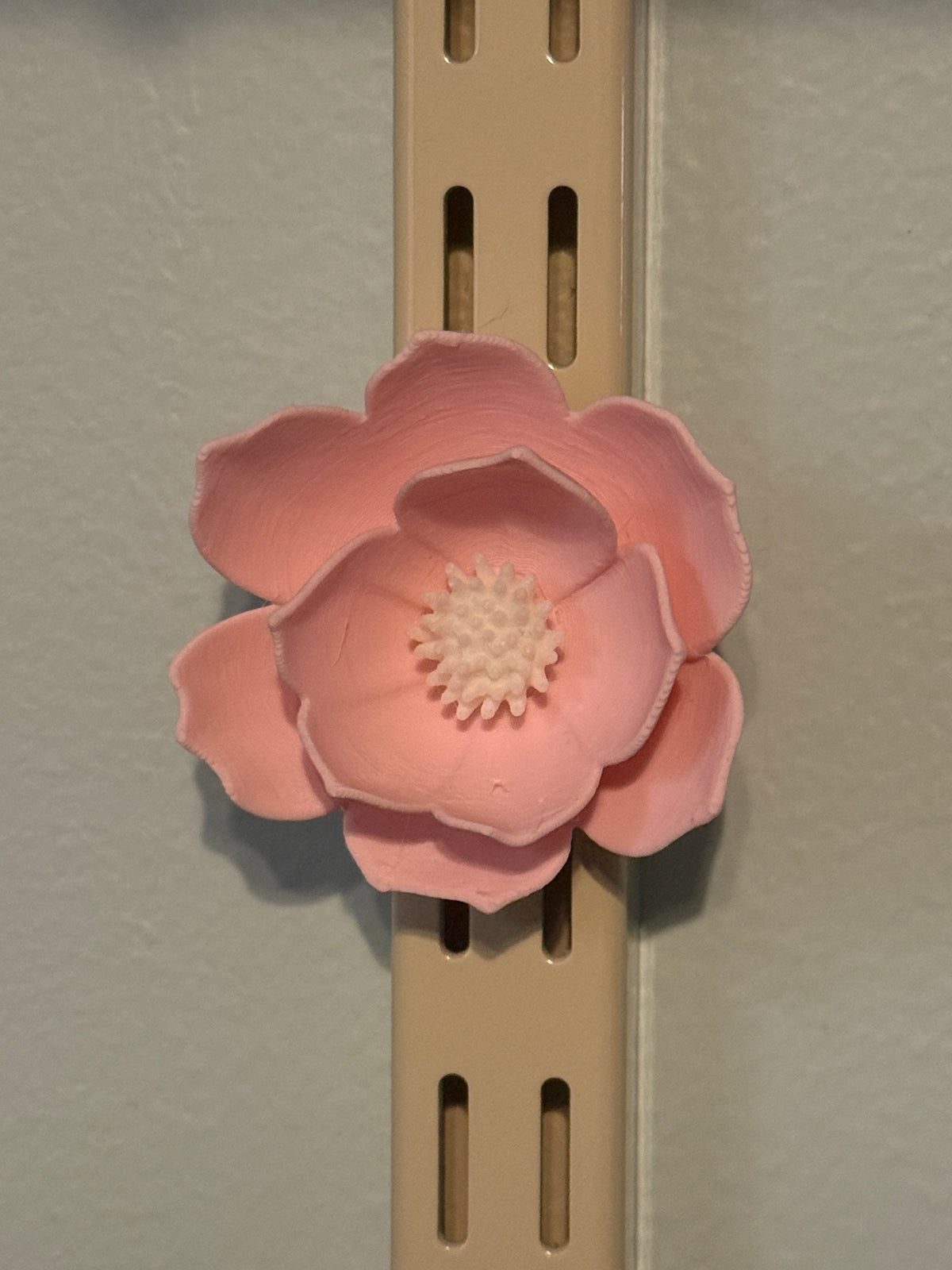 Flower Fridge Magnets (set of 6)