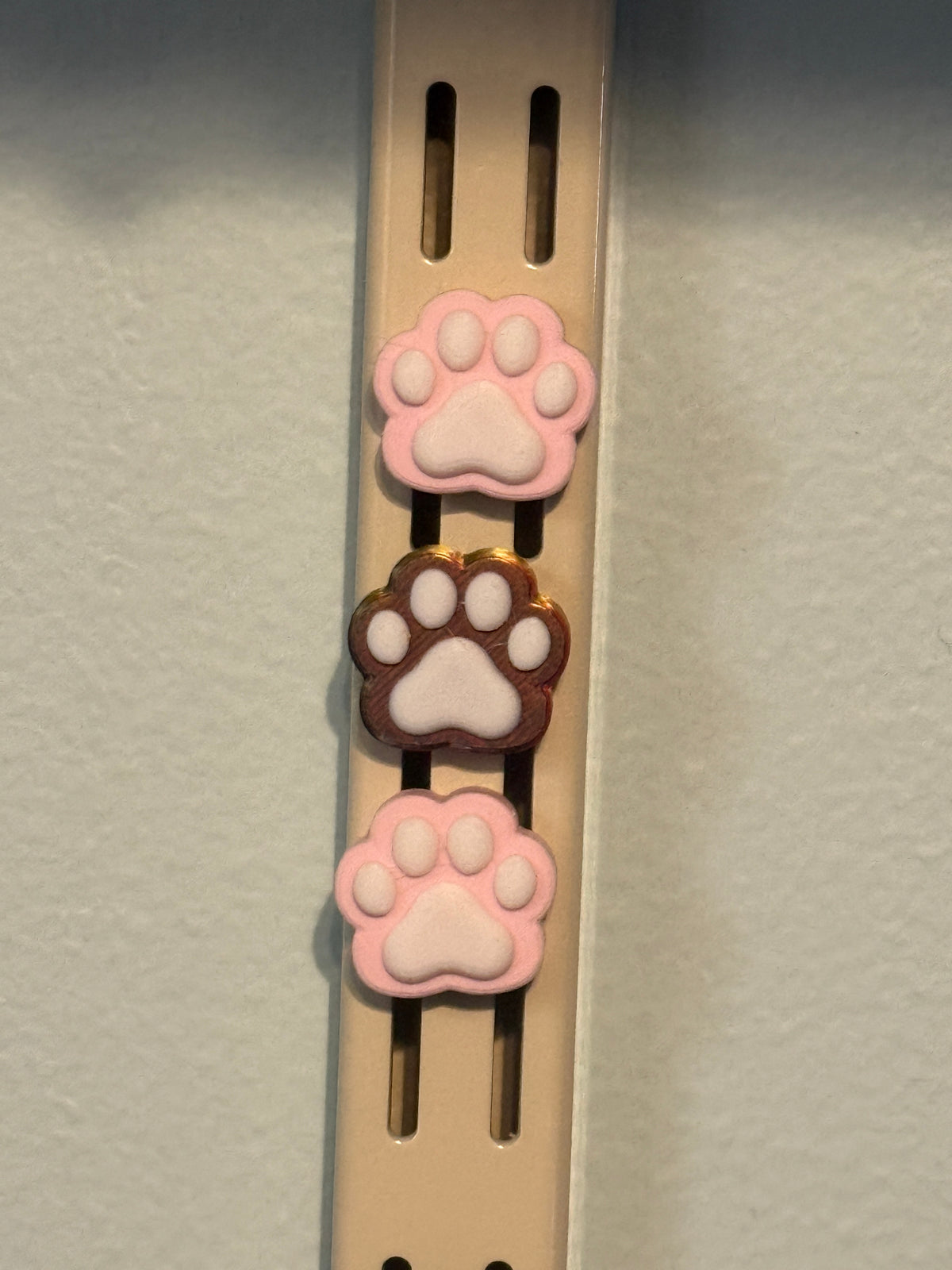 Paw Print Fridge Magnets (set of 4)