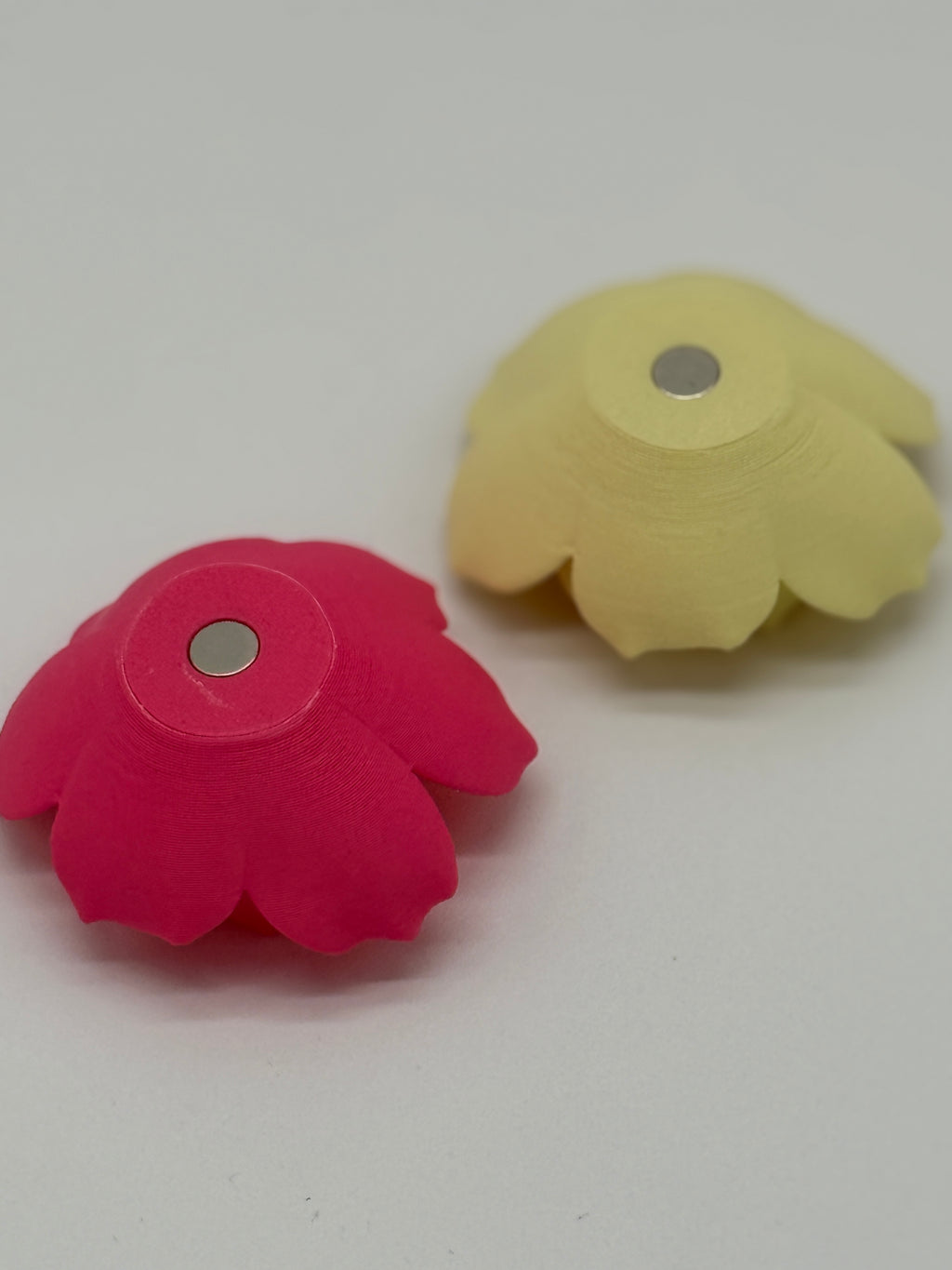 Flower Fridge Magnets (set of 6)