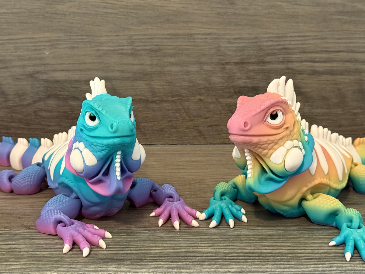 Iguanas
