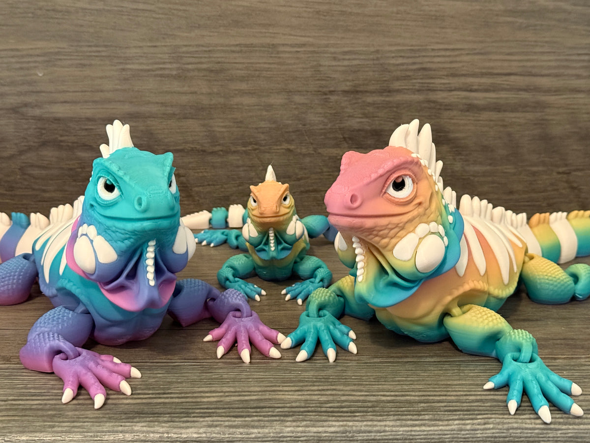 Iguanas