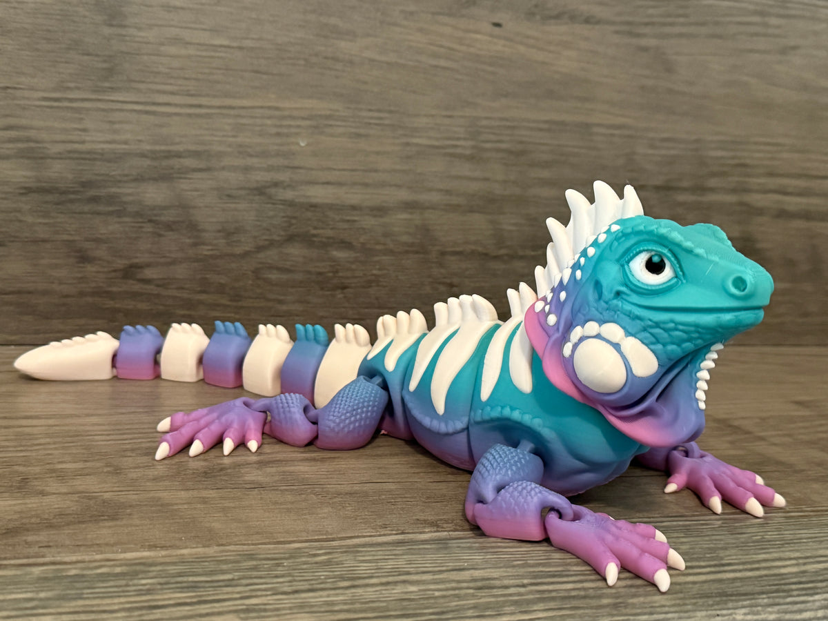 Iguanas