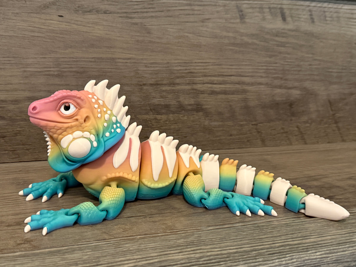 Iguanas