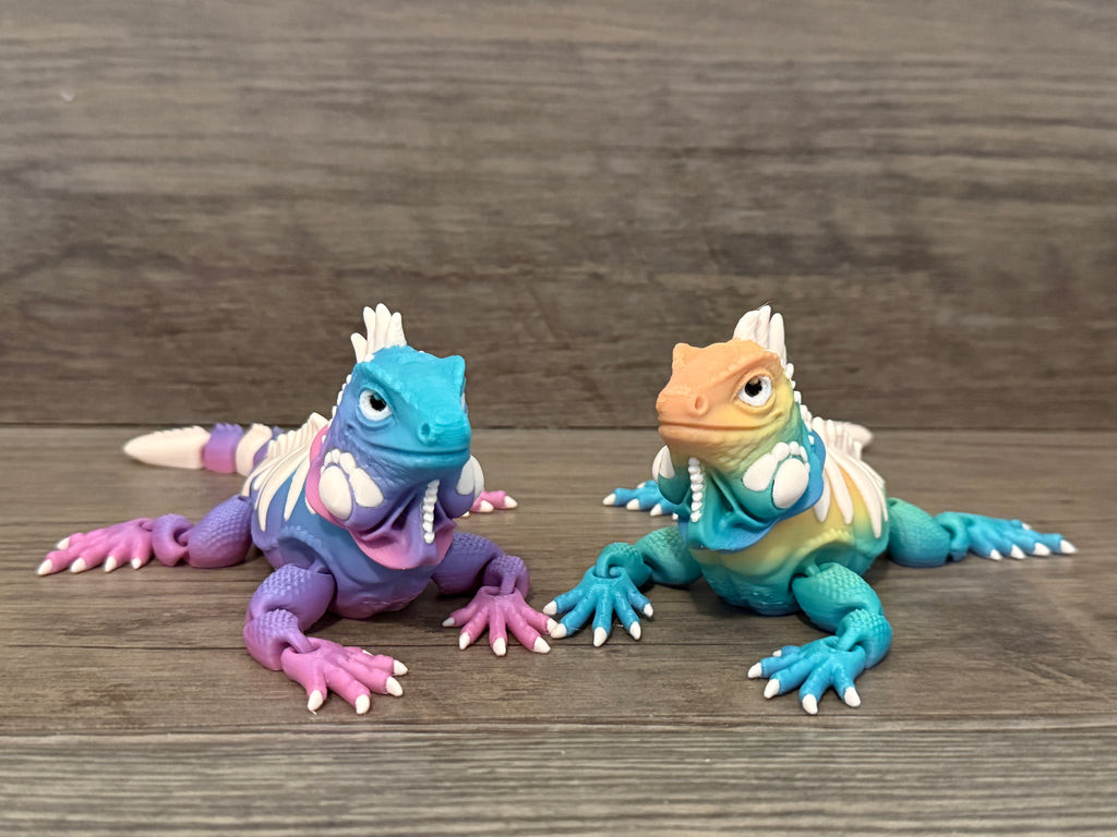 Iguanas