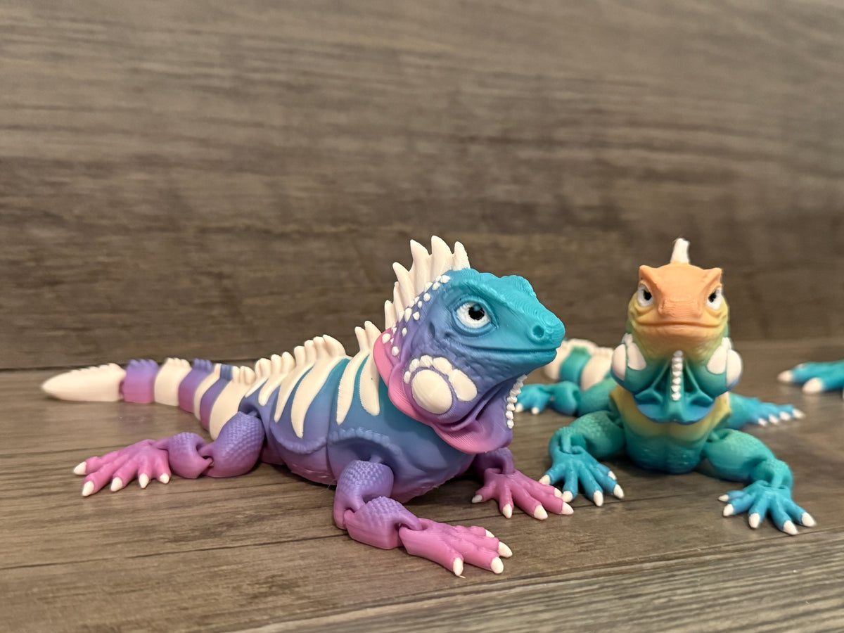 Iguanas