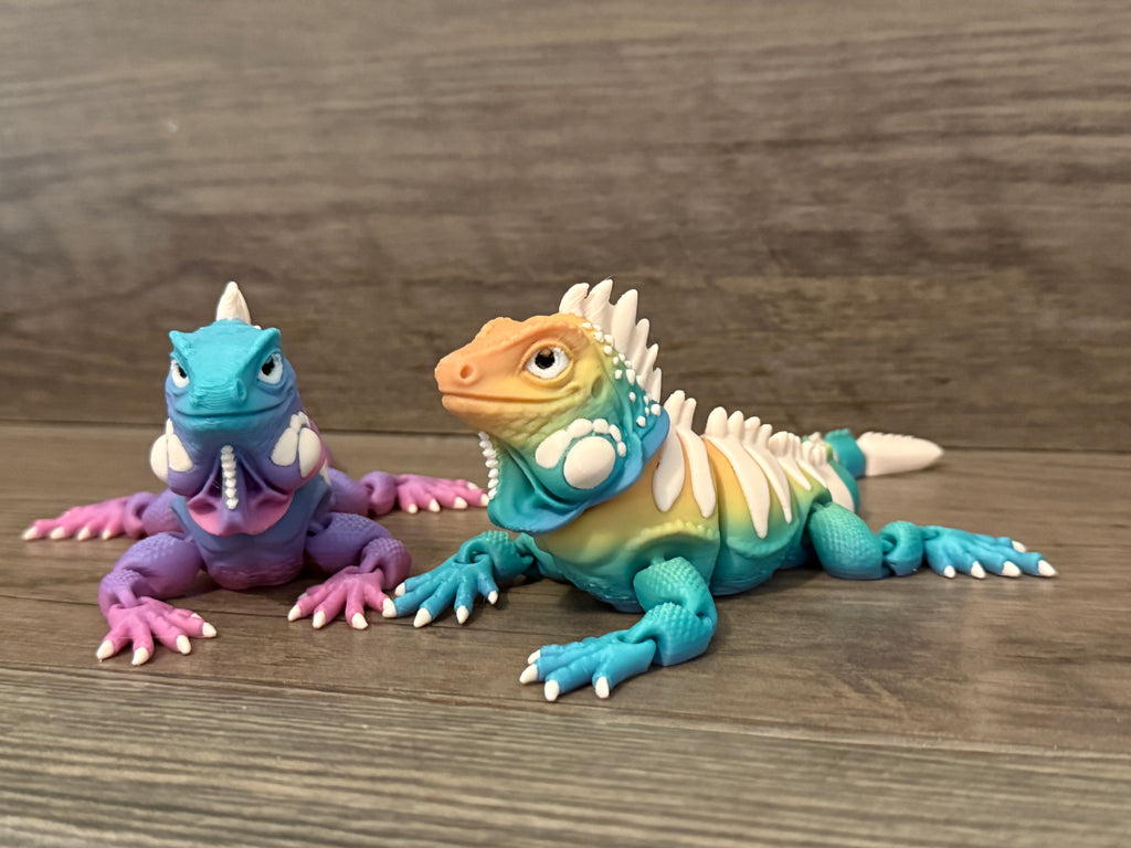Iguanas