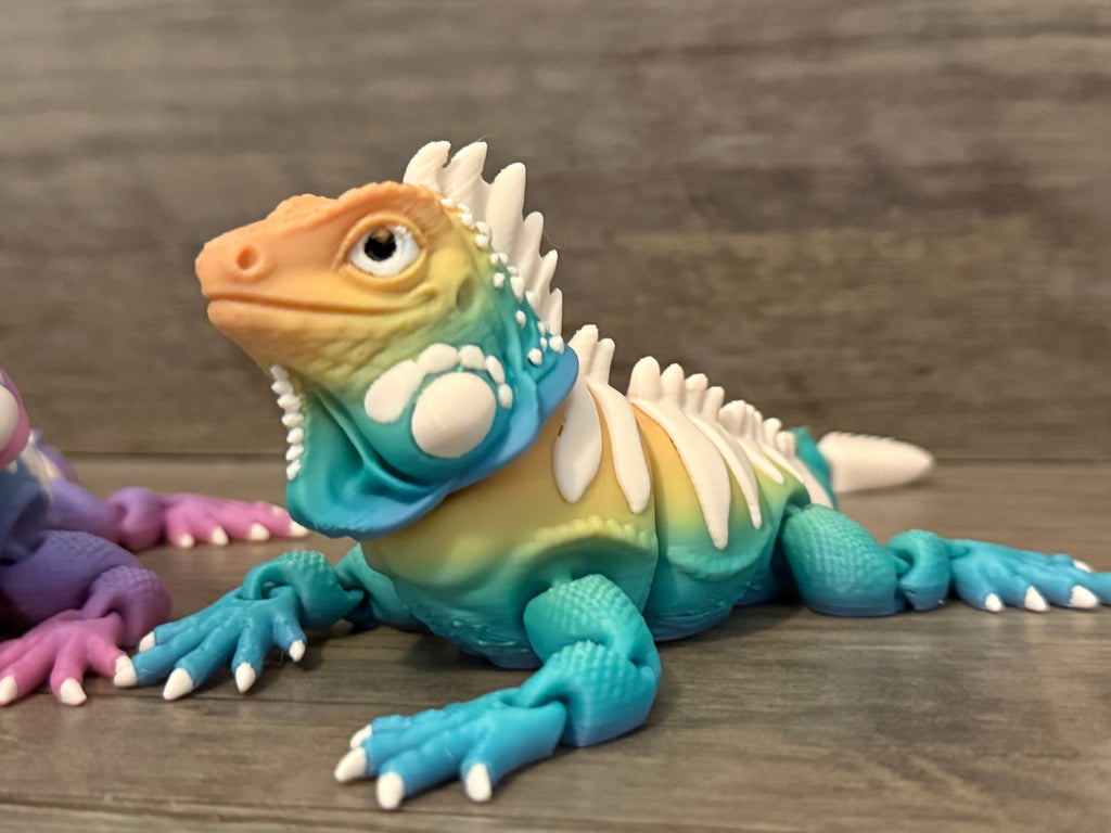 Iguanas