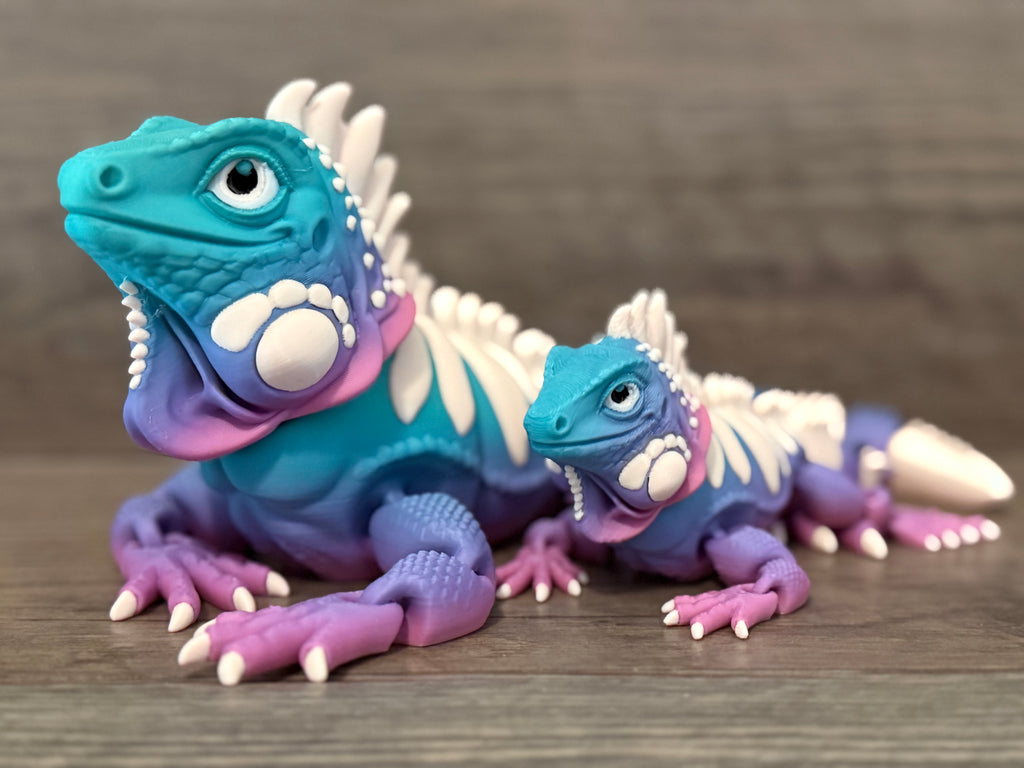 Iguanas