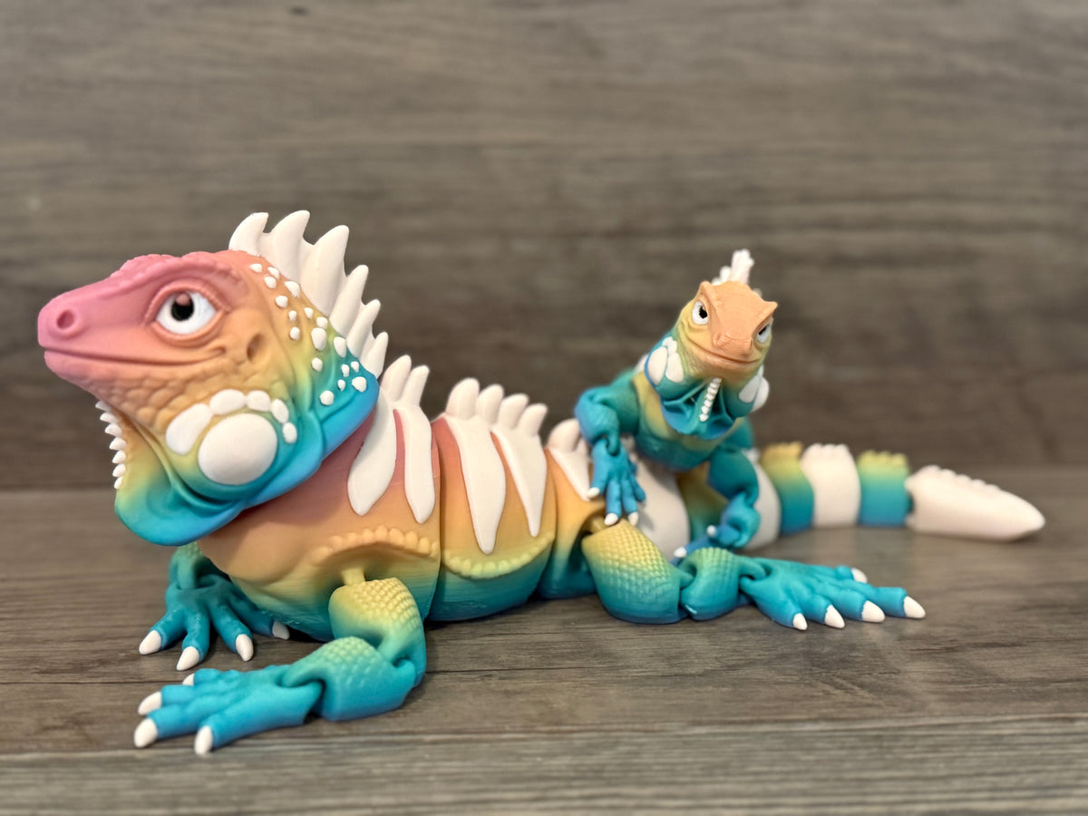 Iguanas