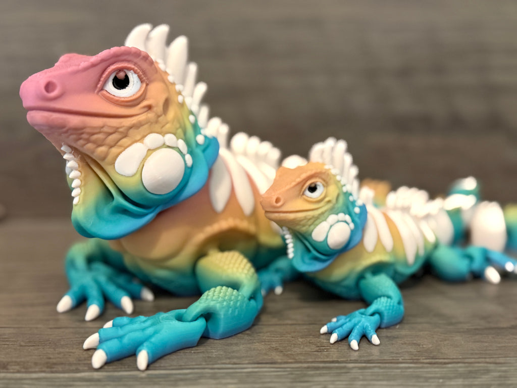 Iguanas
