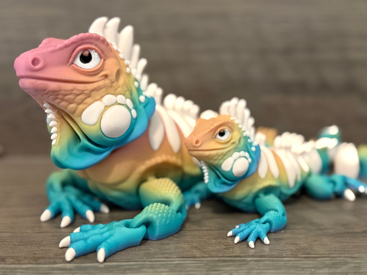 Iguanas