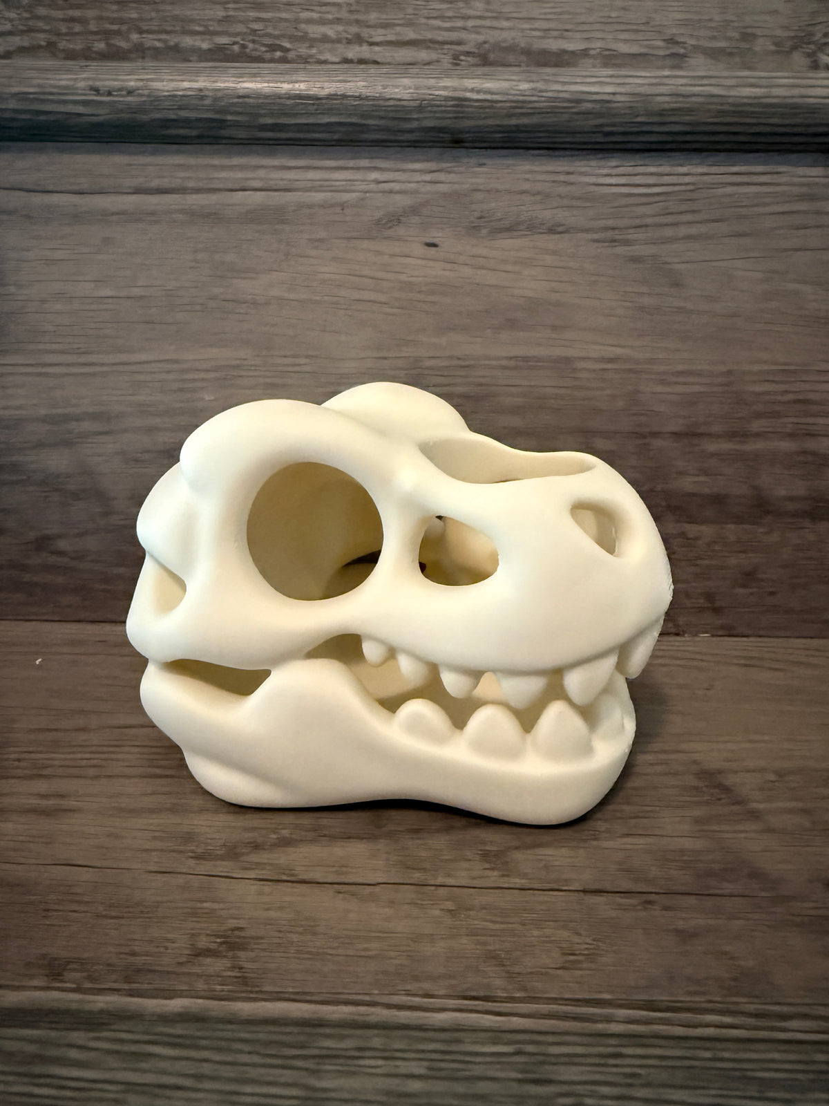Dino head Toothbrush Holder