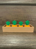 Carrot Fidget Garden