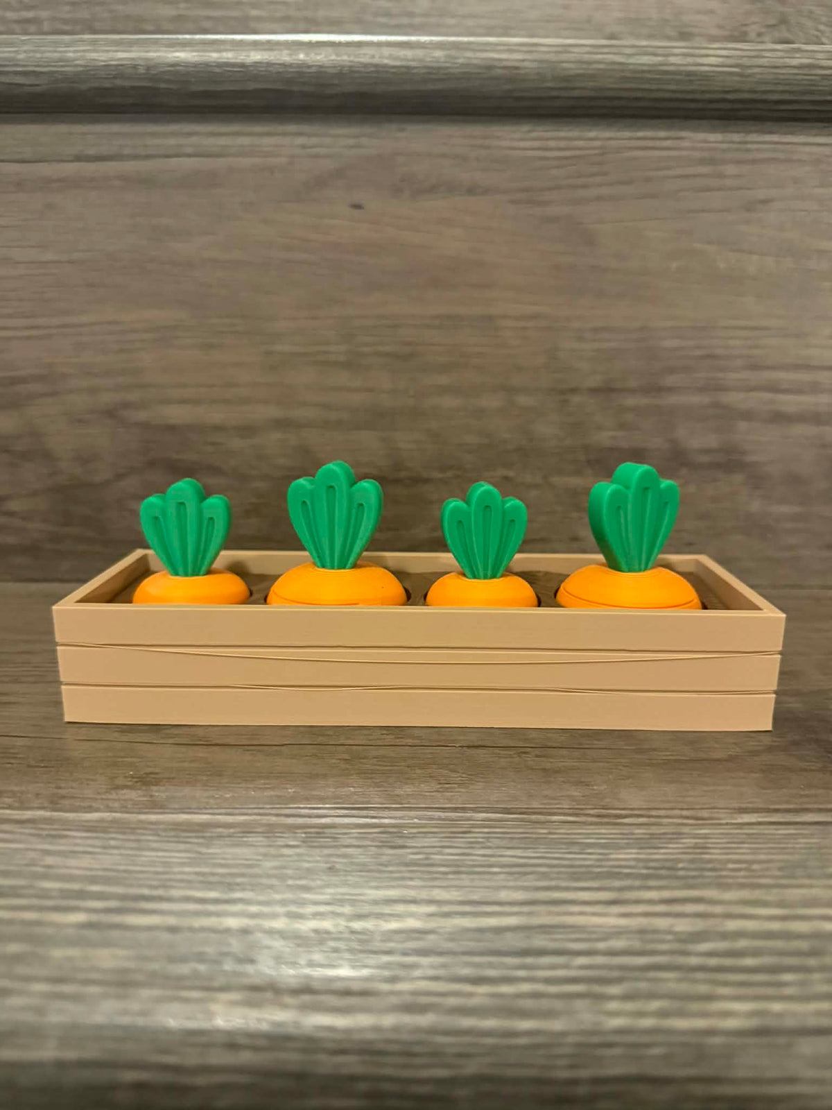 Carrot Fidget Garden