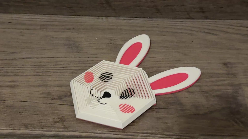 Bunny Fidget Toy
