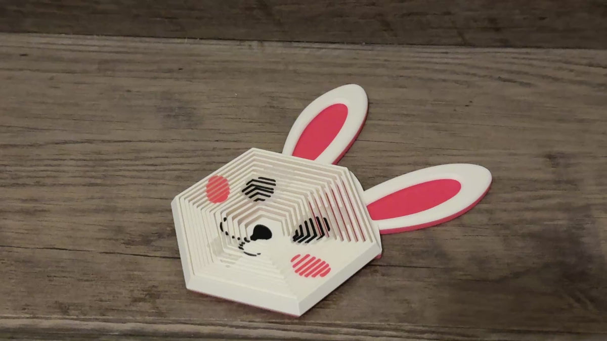 Bunny Fidget Toy