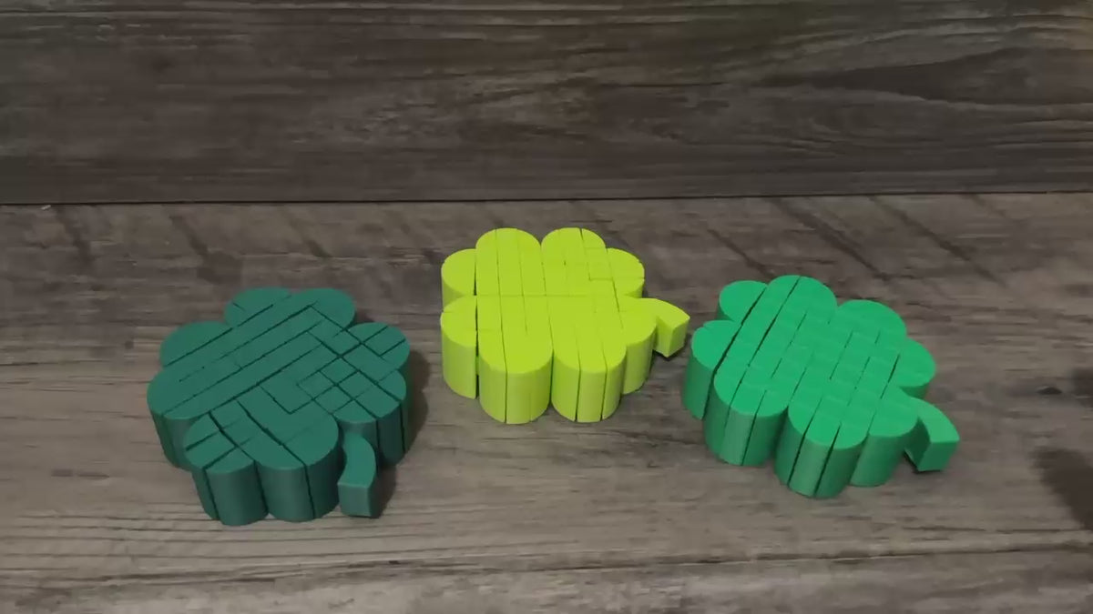 Shamrock Fidget Toy