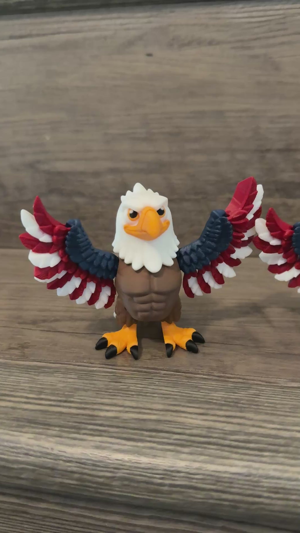 Bald Eagle