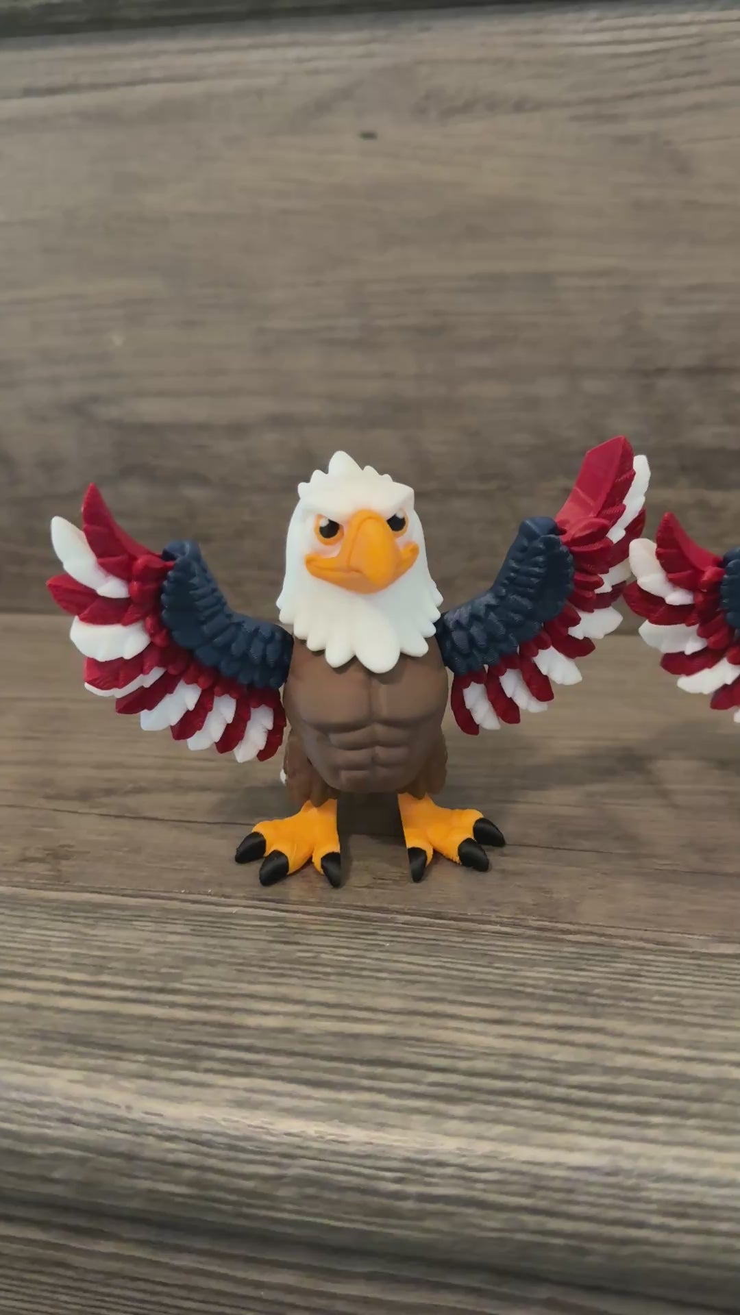 Bald Eagle
