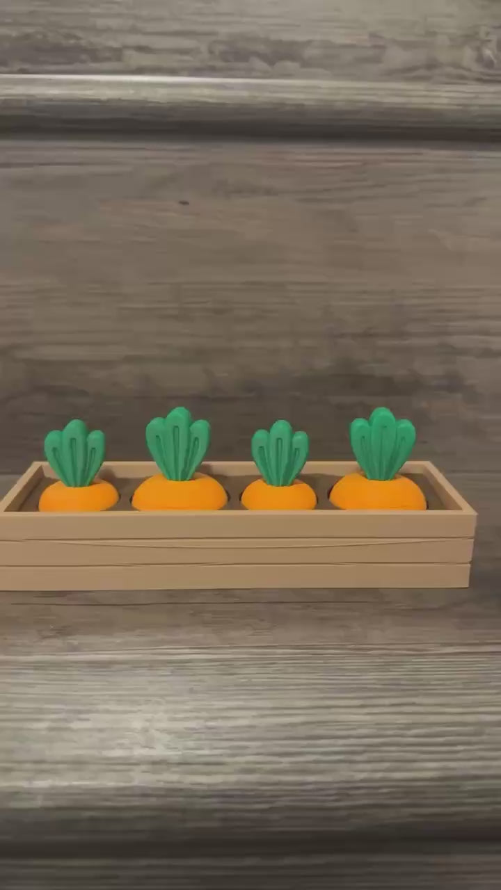 Carrot Fidget Garden